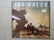 Joe Walsh You bought it you name it